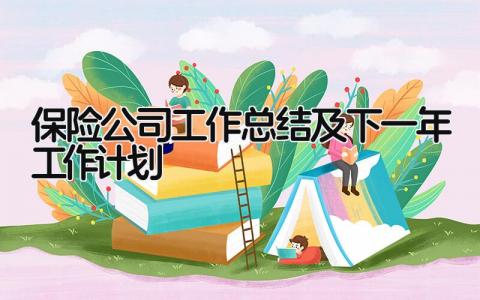 保险公司工作总结及下一年工作计划 精选9篇