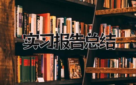 实习报告总结 精选19篇