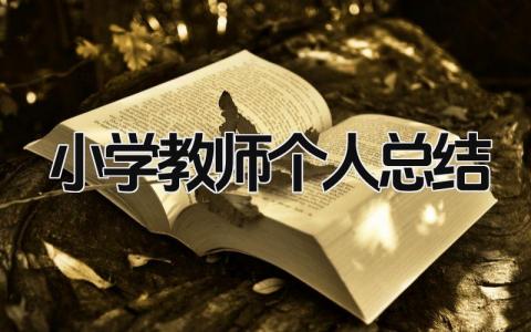 小学教师个人总结 精选18篇