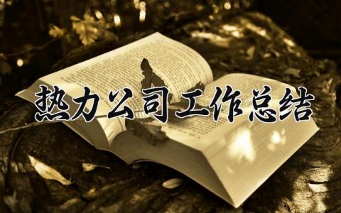 热力公司工作总结 精选16篇