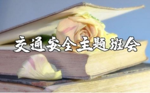 小学生交通安全主题班会精选范文 交通安全主题教育班会教案汇总