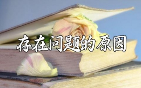 存在问题的原因及整改措施 问题分析和改进措施