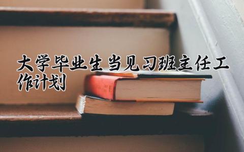 大学毕业生当见习班主任工作计划精选范文