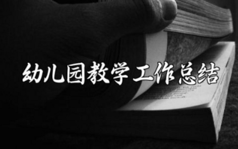 幼儿园教学工作总结2024年 幼儿园学期教学工作总结