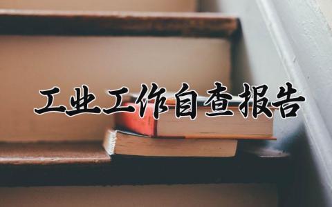 工业工作自查报告范文 工业工作自查自纠报告合集