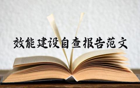 效能建设自查报告范文2024优秀范文 效能建设自查报告范文精选