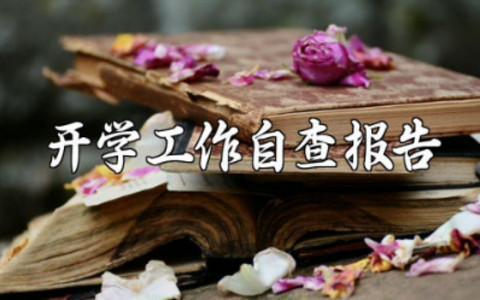 2025年开学工作自查报告范文 校园开学工作排查进展汇报