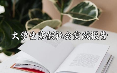 2024关于寒假发传单社会实践报告范文大全 (3篇)