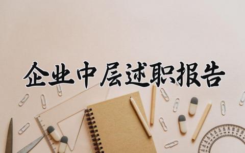 企业中层述职报告 中层干部履职情况报告 (11篇）