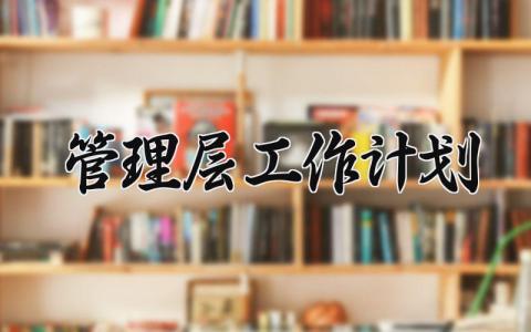 管理层工作计划 管理层下一步工作思路 (3篇)