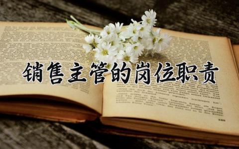 销售主管的岗位职责 销售主管职责及工作范围 (12篇)