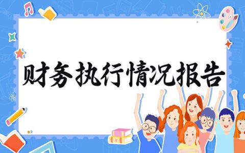 财务执行情况报告 财务状况简述范文 (17篇）