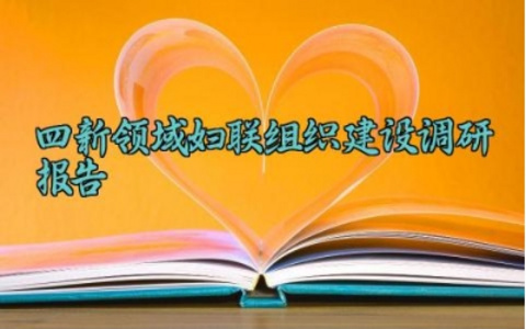 四新领域妇联组织建设调研报告 四新领域妇联工作汇报范文(10篇)
