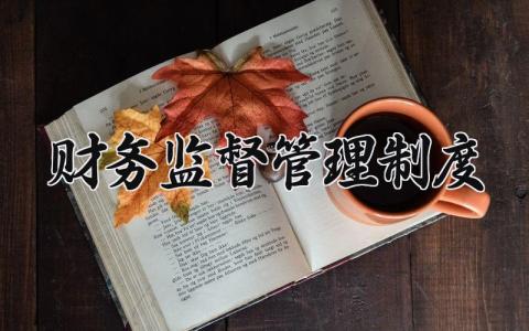 财务监督管理制度范文 财务监督管理章程细则合集