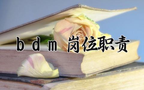 bdm岗位职责 bdm的工作岗位描述 (6篇）