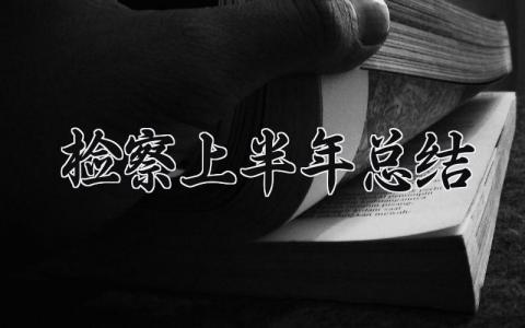 检察2024上半年总结与目标 2024检察半年工作报告材料