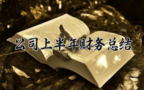 公司上半年财务总结怎么写 财务上半年工作总结报告