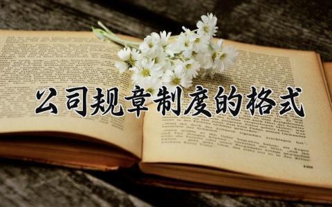 公司规章制度的格式 公司规章制度格式范本 (8篇）