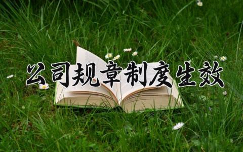 公司规章制度生效 公司管理规章制度内容 (12篇）