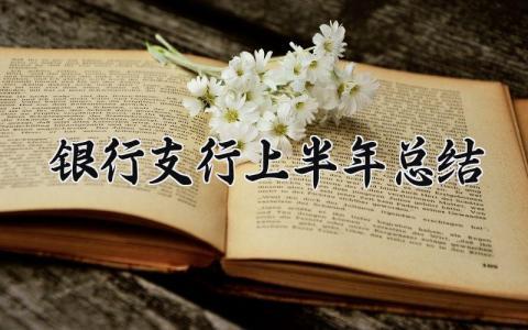 银行支行上半年总结 银行支行上半年工作总结 (14篇）