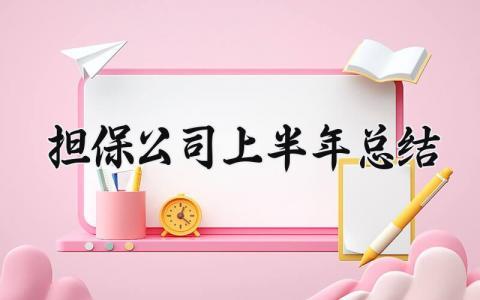 担保公司上半年总结 担保公司年度总结报告范文大全宣传部 (4篇）