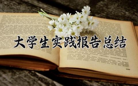 大学生实践报告总结范文 大学生实践报告总结800字 (12篇）