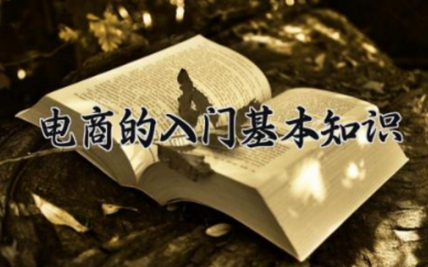 电商的入门基本知识 跨境电商怎么做无货源模式