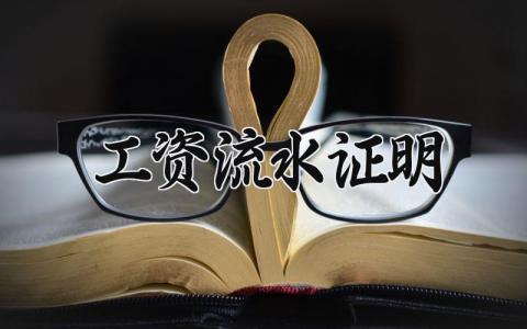 工资流水证明 工资的流水证明怎么开 (5篇）