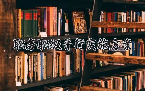 职务职级并行实施方案  职务职级并行的实施细则(4篇）