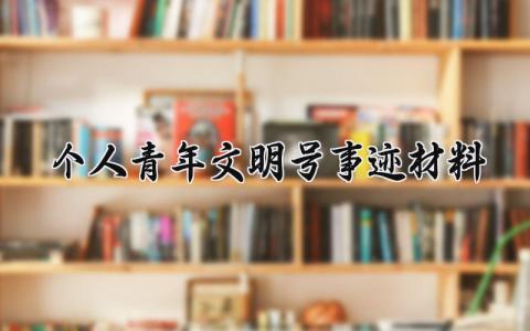 个人青年文明号事迹材料 青年文明号先进材料 (13篇)