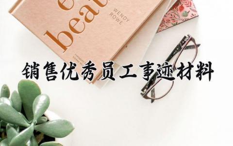 销售优秀员工事迹材料 销售个人优秀事迹简要说明 (6篇）