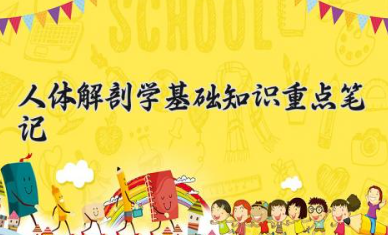 人体解剖学基础知识重点笔记 解剖学三轴三面怎么记