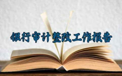 银行审计整改工作报告 银行审计的整改工作报告范文（10篇）