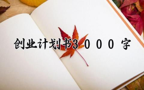 创业计划书3000字 关于创业的计划书3000字 (10篇）