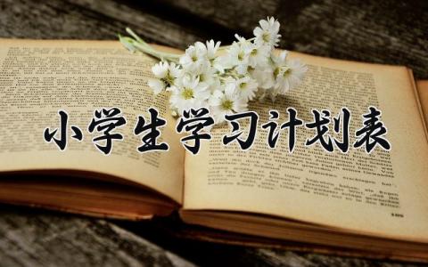 小学生学习计划 小学生每日计划安排范文（16篇）