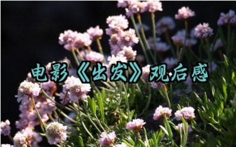 电影《出发》观后感 电影《出发》的心得体会(10篇)