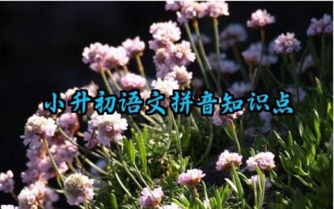 小升初语文拼音知识点集合 小升初语文阅读知识点及考试注意事项