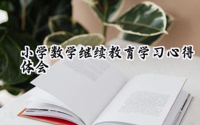 2024小学数学继续教育学习心得体会怎么写（12篇）