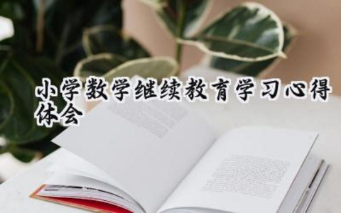 2025小学数学继续教育学习心得体会怎么写（12篇）