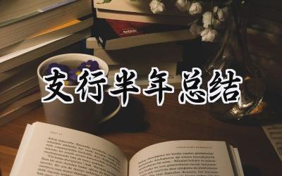 支行半年总结 支行的半年总结报告（15篇）