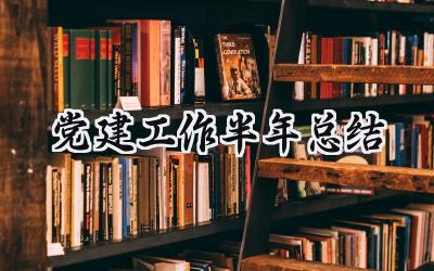 2024党建工作半年总结 2024年党建工作半年总结会议记录范文（15篇）