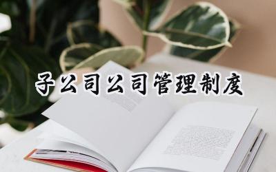 子公司公司管理制度怎么写 (12篇）