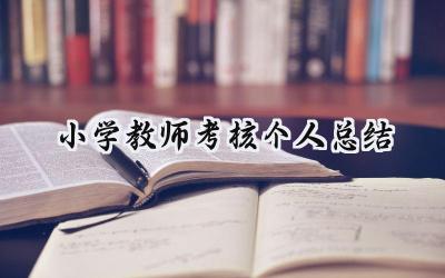 小学教师考核个人总结怎么写 (20篇）