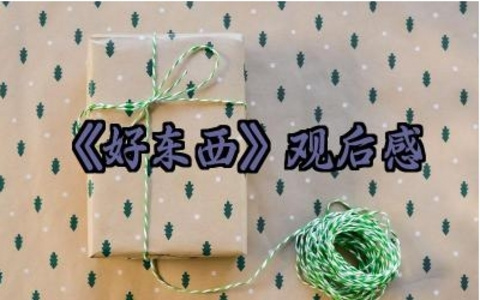 电影《好东西》观后感怎么写（10篇）