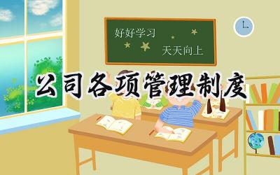 公司各项管理制度 公司各项管理的规章制度