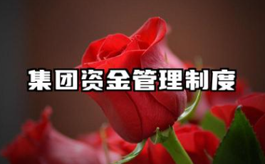 集团资金管理制度 集团公司资金管理制度范文