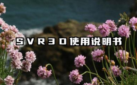 svr3d 使用说明书及如何使用SVR 3D便携式电波流速仪详解