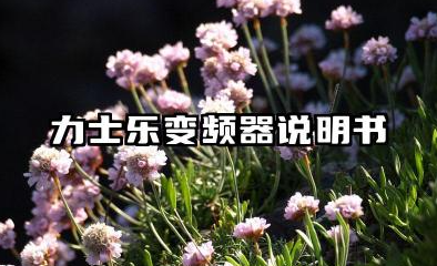 力士乐变频器说明书及力士乐变频器参数设置汇总
